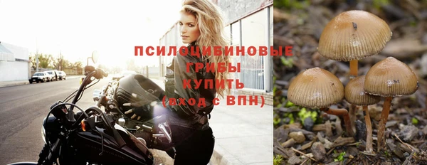 амф Алексин