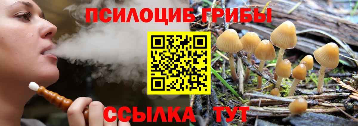 Псилоцибиновые грибы Psilocybe  Вход с VPN  Топки  Псилоцибиновые грибы мухоморы 